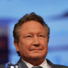 Billionaire beef battle sizzles as Andrew Forrest buys $11.6m wagyu stake