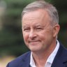 ‘Spirit of consensus’: Albanese’s safe economic pitch to voters