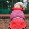 This winter’s hottest dog fashion trends
