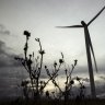 A not so mighty wind: NSW lags in renewable energy approvals