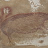 Some pig: oldest rock art found to date points to more discoveries