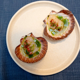 Scallop crudo with green juice and Korean chilli.