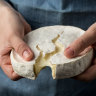 Soft cheeses recalled amid fears of E. coli contamination