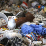 WHO warns of strain from spike in plastic waste during pandemic