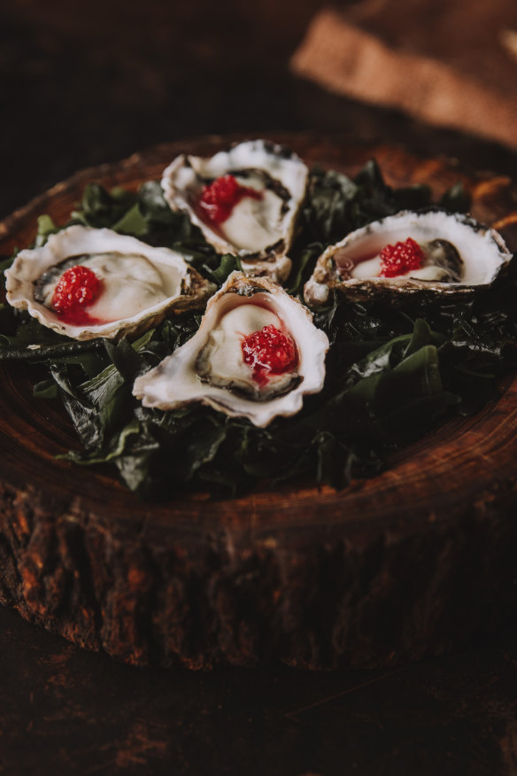 Rock oysters.