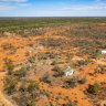 Using mulga forests to save carbon is under fresh scrutiny.