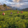 Your questions: Which Asian destinations are warm but not humid?