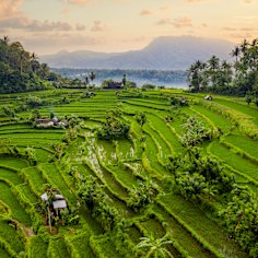 Canggu Bali