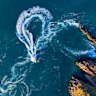 Bizarre Aussie natural phenomenon that has to be seen to be believed