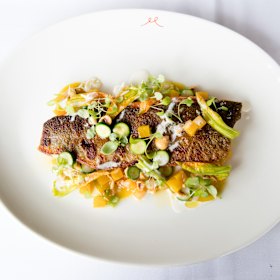 Grilled Rainbow Trout.