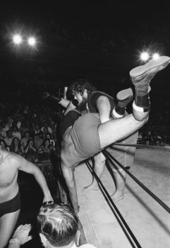 Haystack Calhoun tosses Killer Karl Kox and Tiger Singh through the ropes.