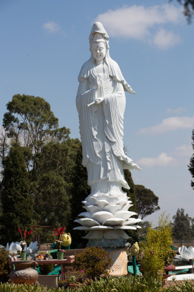 The Buddha garden at the temple. 