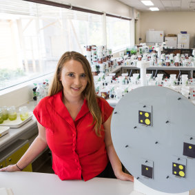 Monash University biologist Dr Scarlett Howard.