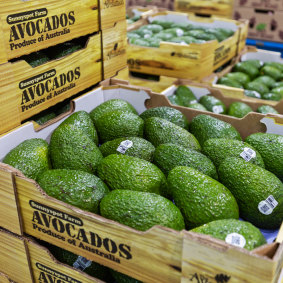 Avocado grower Costa will reduce its avocado operations and instead lean into its mushroom, berries, tomatoes and export businesses.