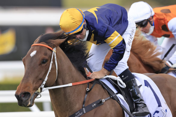 Masked Crusader will look to go one better in The Everest than last year as he lines at Randwick on Saturday. 