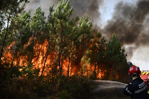 Il bilancio umano di questo incendio è già grave. Sono morti due vigili del fuoco, 240 case sono state distrutte e 220.000 persone sono state evacuate.