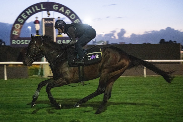 Rosehill Racecourse will on Saturday host the Golden Slipper race, and Chris Waller-trained Switzerland is the second favourite to win.