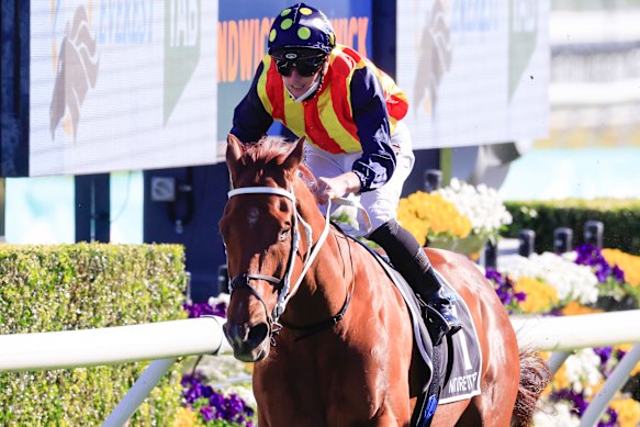 The Everest 2022: Contenders look to easier races with bigger pay days