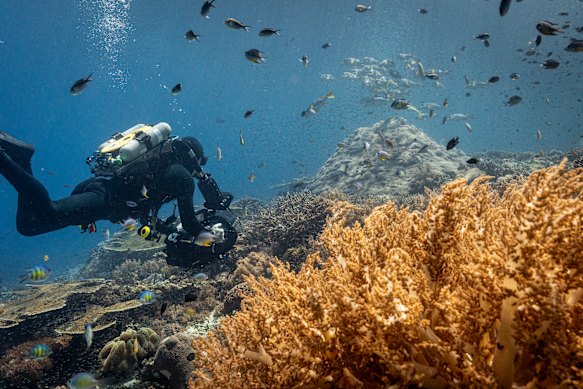 Ocean with David Attenborough highlights threats to the seabed.