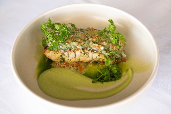 Bellevue’s seabass with fennel and smoked caviar.