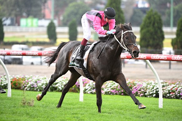 Rory Hutchings will partner the impressive Elouyou in race eight.