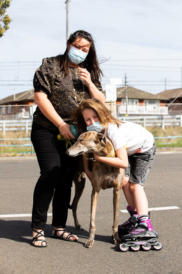 Wombat the rescue greyhound has no no idea his life was nearly turned upside down by the arrival of a Maine Coon kitten.