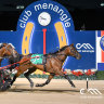 Maori Law gives Brosnan another Inter Dominion title 42 years on