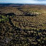 Bushland in Belrose and Oxford Falls would be rezoned for housing and other development under the Metropolitan Local Aboriginal Land Council plan.