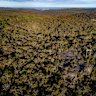 Local residents are opposed to plans to build hundreds of homes in bushland at Lizard Rock, Belrose.