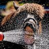 An Icelandic horse drinks water from a water hose at a stud farm in Wehrheim near Frankfurt, Germany, at the beginning of a multi-day heat wave.