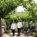 A culinary adventure at the exceptional Peskesi Organic Farm in Crete.