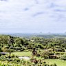 Maleny’s lush Botanic Gardens.