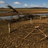 'Really, really vulnerable': Water-sharing plans not taking Millennium Drought into consideration