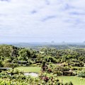 Maleny’s lush Botanic Gardens.
