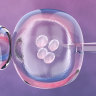 Monash IVF has been operating since 1971.