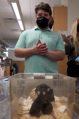 Jake Litvag visits a lab at Washington University where doctors are studying a rare form of autism linked to a mutation in a gene, using mice with the same mutation as he has.