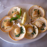 The coquilles Saint-Jacques – scallops with butter, cream and parsley.