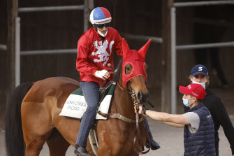 Promise of Success and Hugh Bowman prepare to trial earlier this month.  The pair reunite at Randwick on Wednesday.