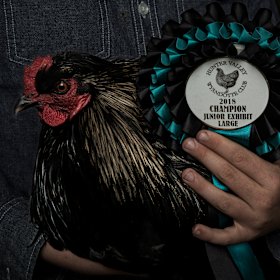 Tom displays his Junior Champion award from 2018. 
