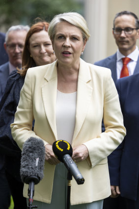Environment Minister Tanya Plibersek has defended the government’s changes to immigration laws.