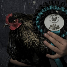 Tom displays his Junior Champion award from 2018. 