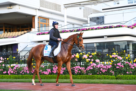 Vauban, one of the favourites for this year’s Melbourne Cup.