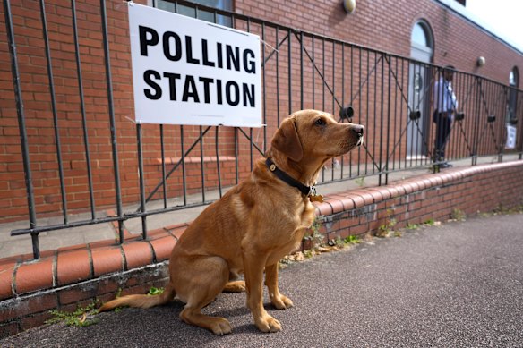 Um cachorro fica do lado de fora de uma assembleia de voto em Londres durante as últimas eleições do Reino Unido, nas quais 48 milhões de pessoas eram elegíveis para votar. Existem cerca de 1,6 milhão de pessoas com idades entre 16 e 17 anos.
