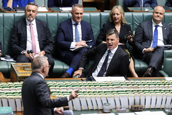 Opposition Leader Angus Taylor reacts as Prime Minister Anthony Albanese speaks during question time at Parliament House in Canberra.