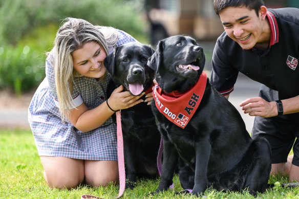 St Helena Secondary College students Matilda Walpole and Liam Young with wellbeing dogs Frankie and Ash.