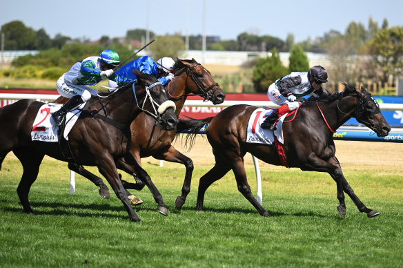 Mr Brightside claims another group 1 win in the Futurity Stakes.
