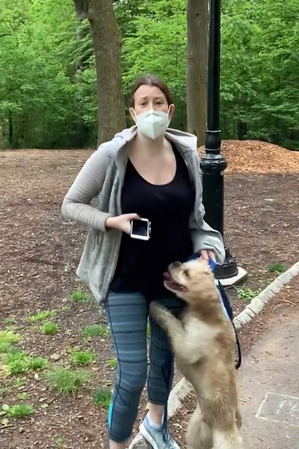 Amy Cooper is charged with making a false police report.