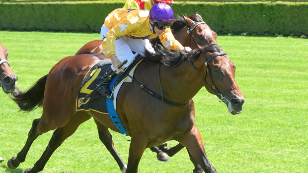 Santos will look to give Gai Waterhouse a seventh Golden Slipper in three weeks.