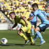 Phoenix on fire but Sydney escape from Wellington with a draw