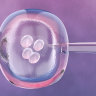 Demand for IVF services remains strong but providers acknowledge COVID normal is causing widespread interruptions to services. 